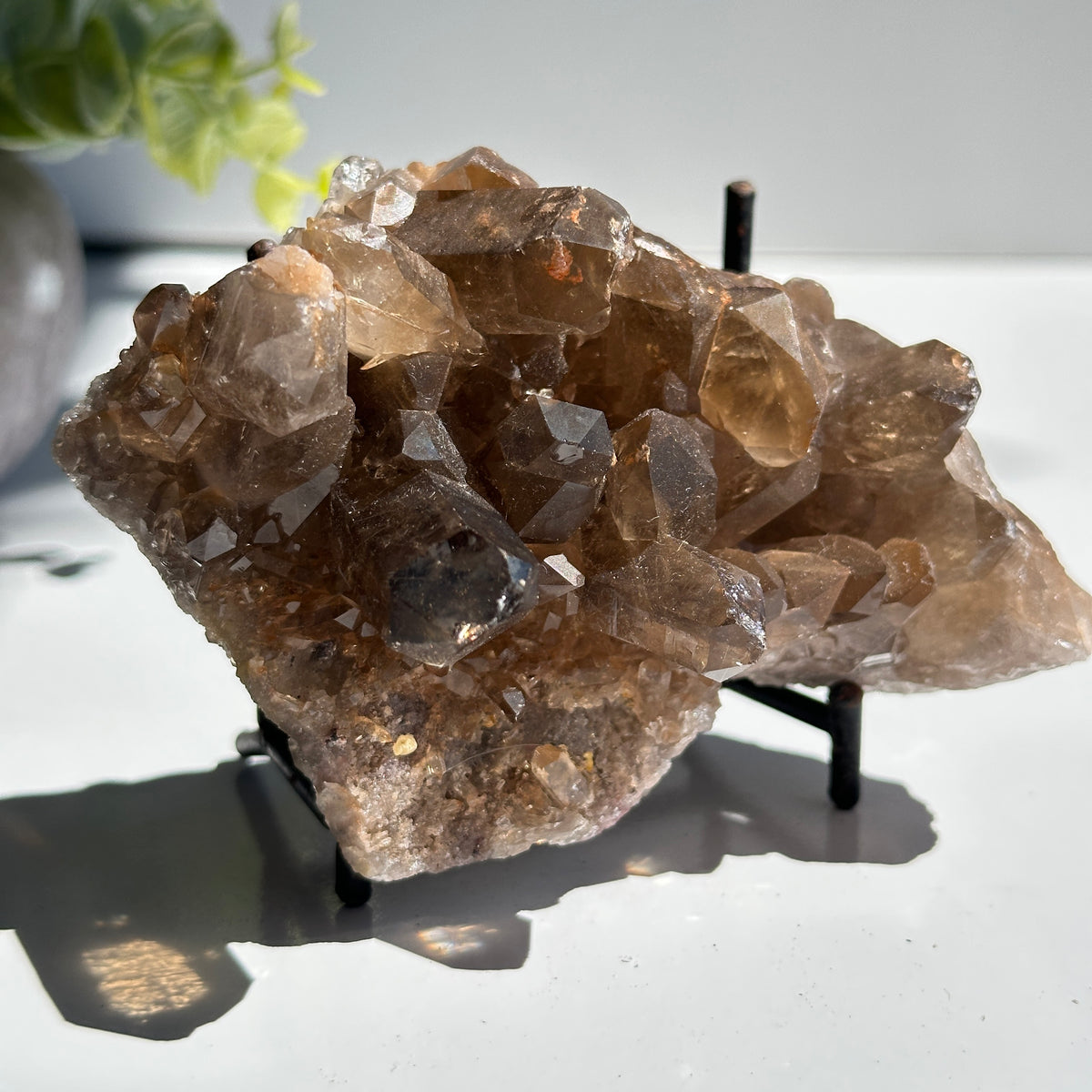 Smoky Quartz With Rutile Cluster 310g