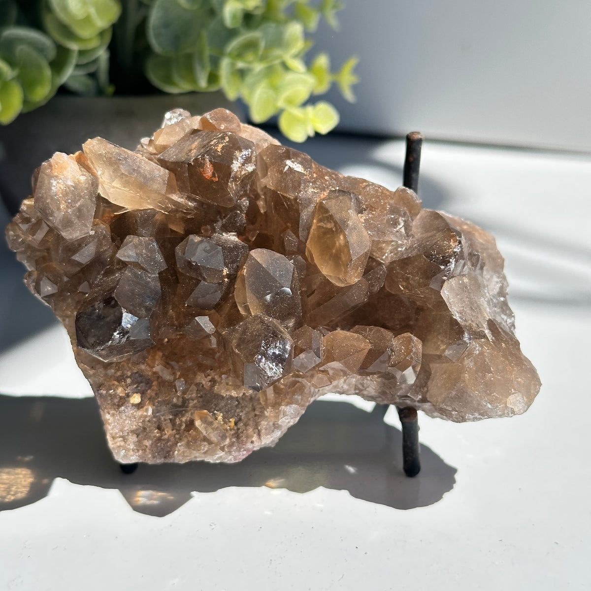 Smoky Quartz With Rutile Cluster 310g