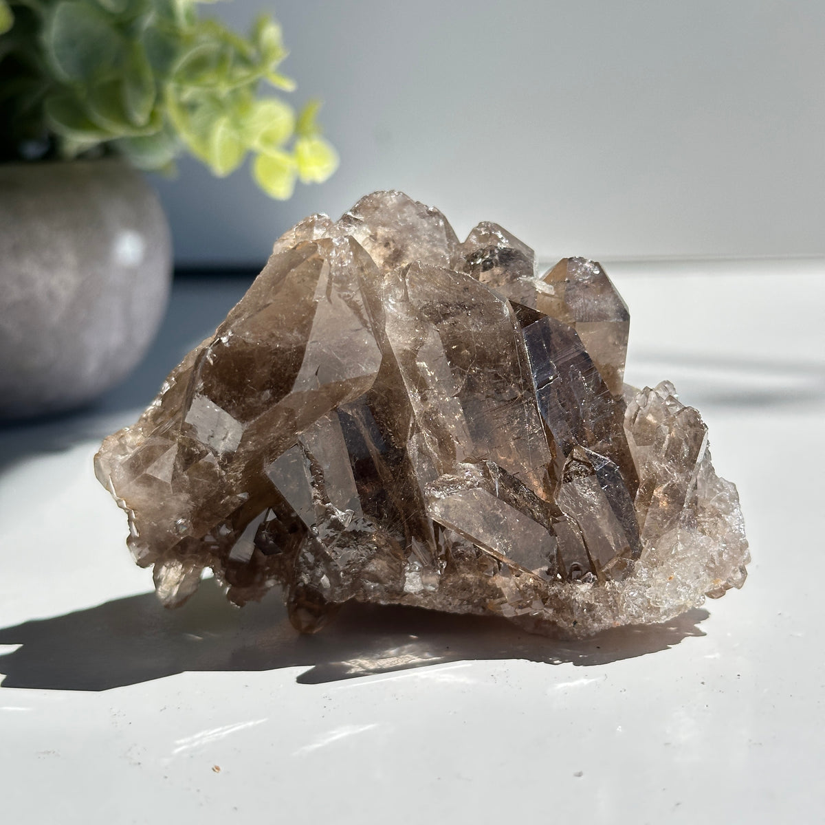 Smoky Quartz With Rutile Cluster 310g
