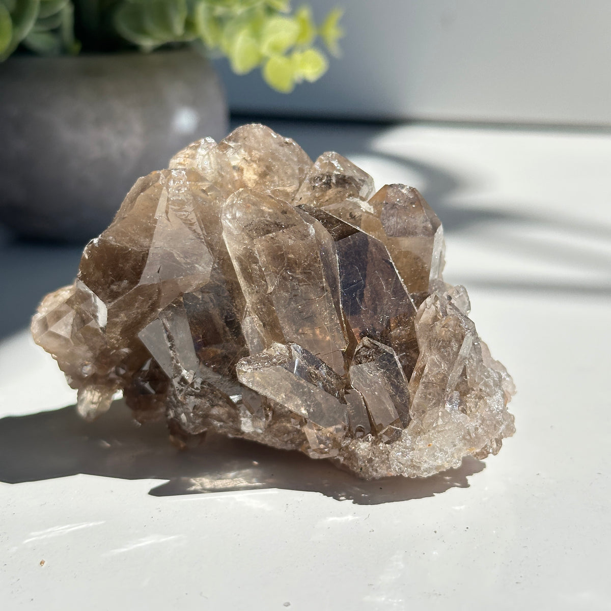 Smoky Quartz With Rutile Cluster 310g