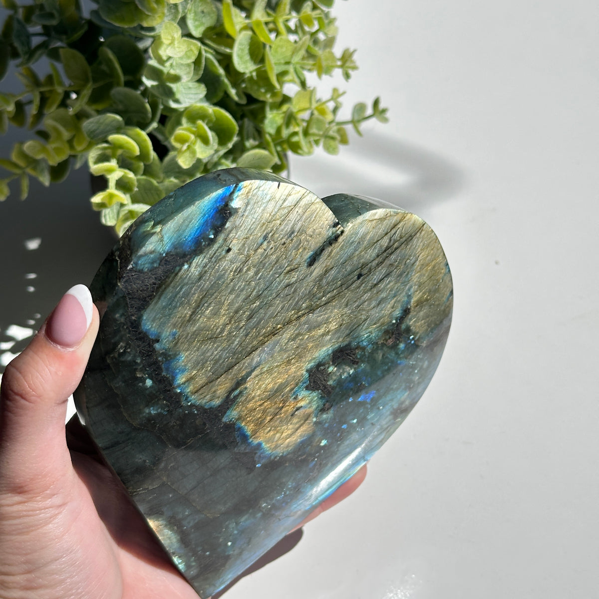 Labradorite Heart 14.7cm