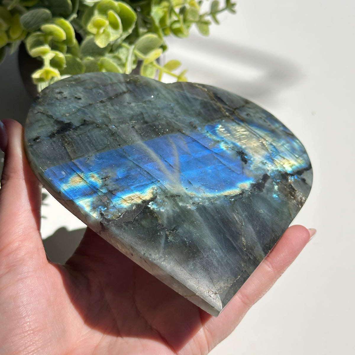 Labradorite Heart 12.9cm