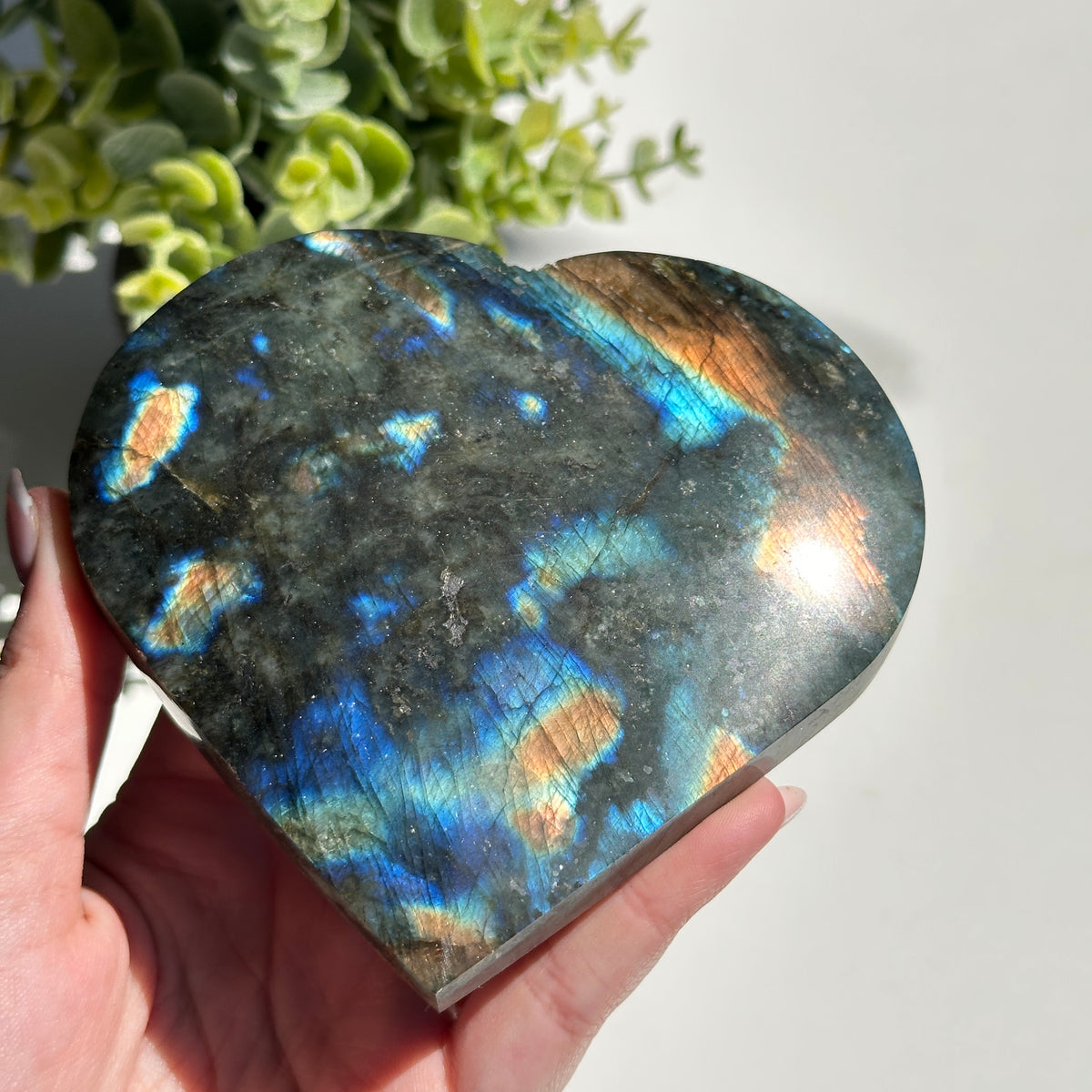 Labradorite Heart 11.7cm