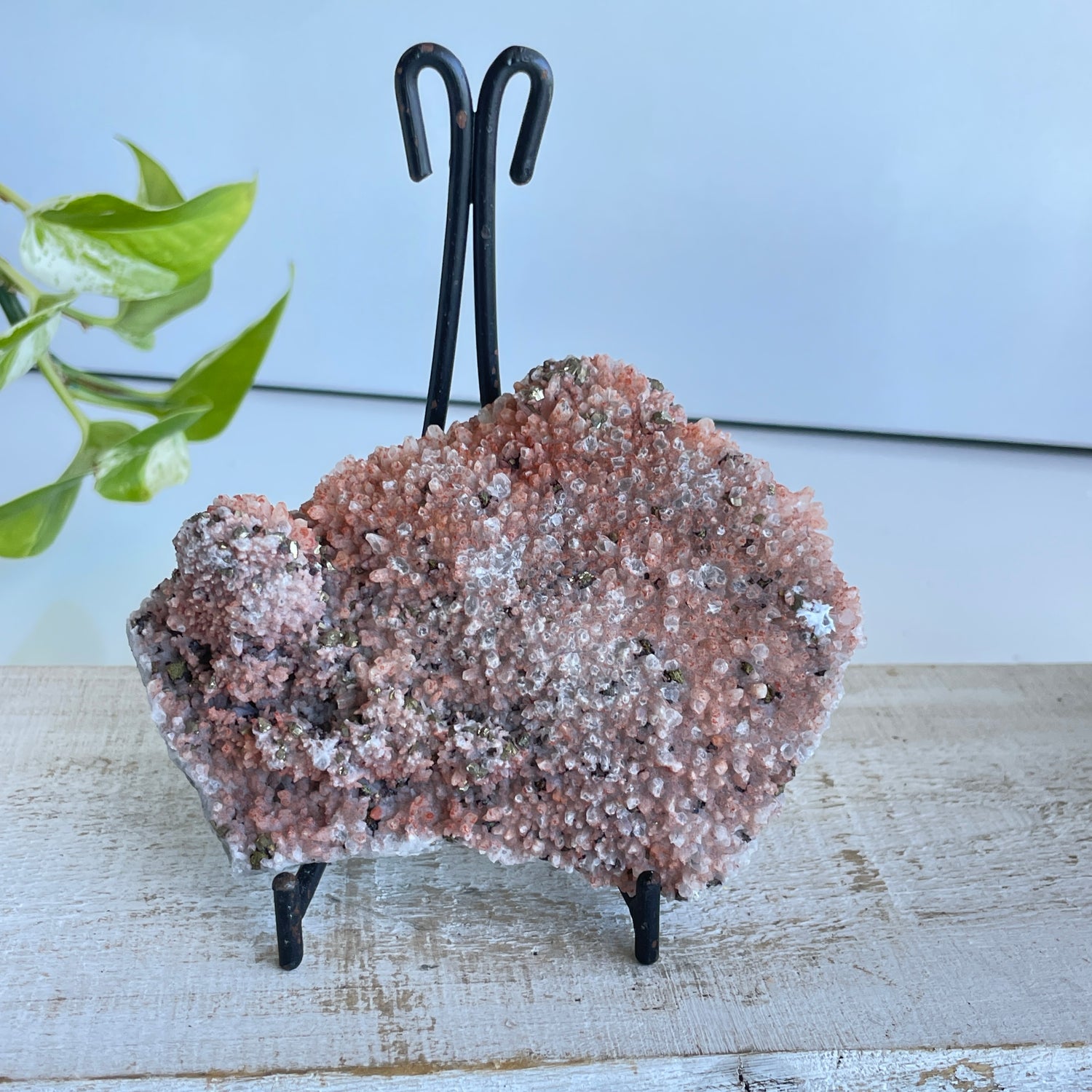 Pyrite & Quartz Cluster 233g