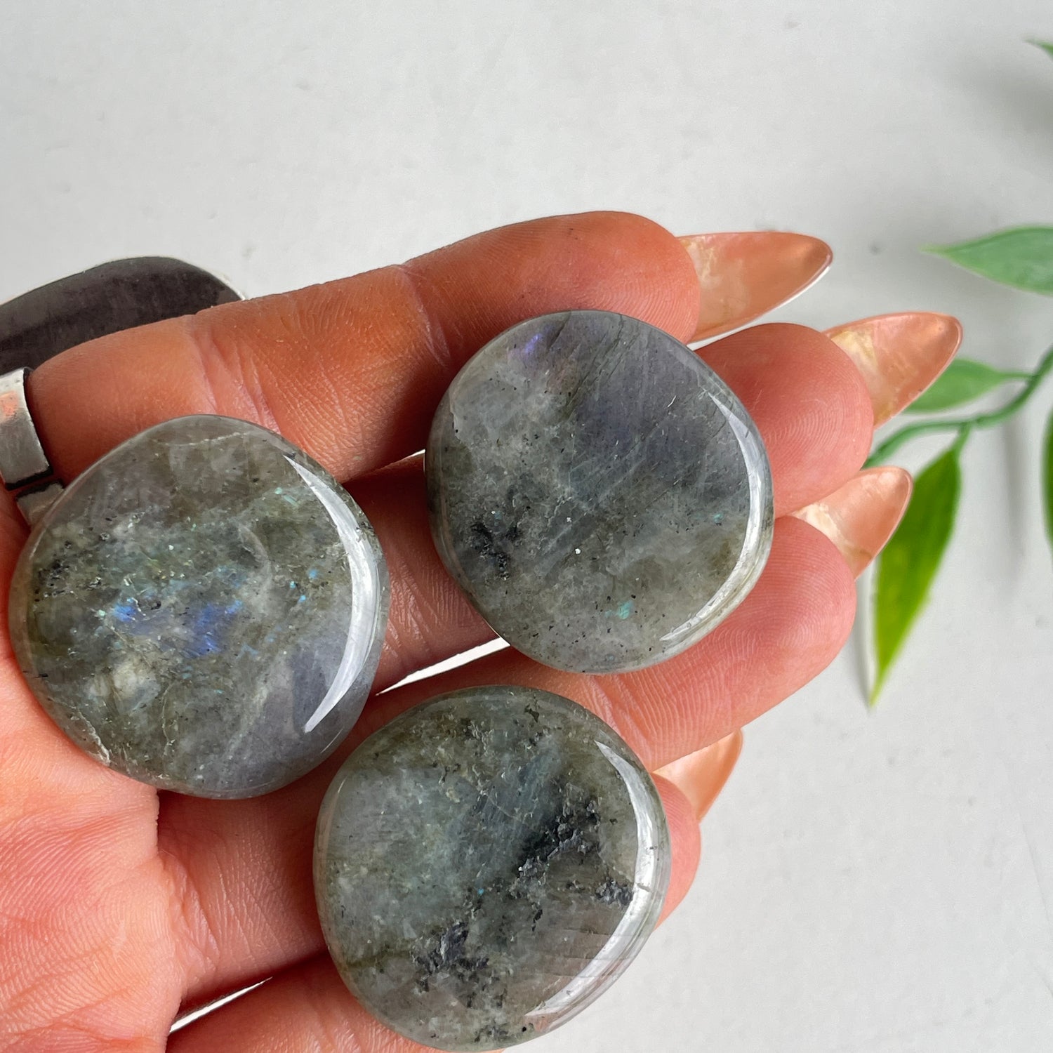 Labradorite Flat Stone Bra Buddy