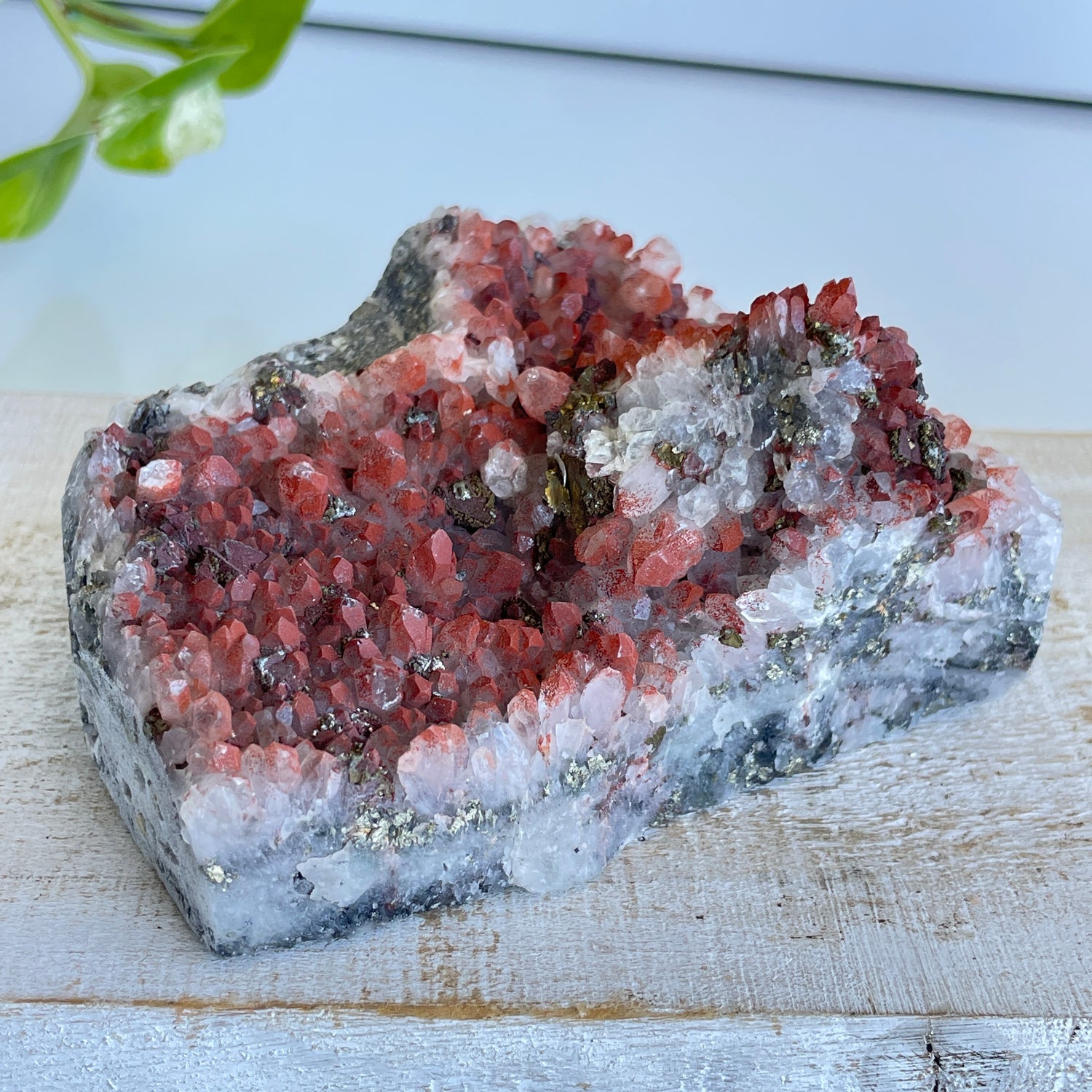 Pyrite & Quartz Cluster 436g