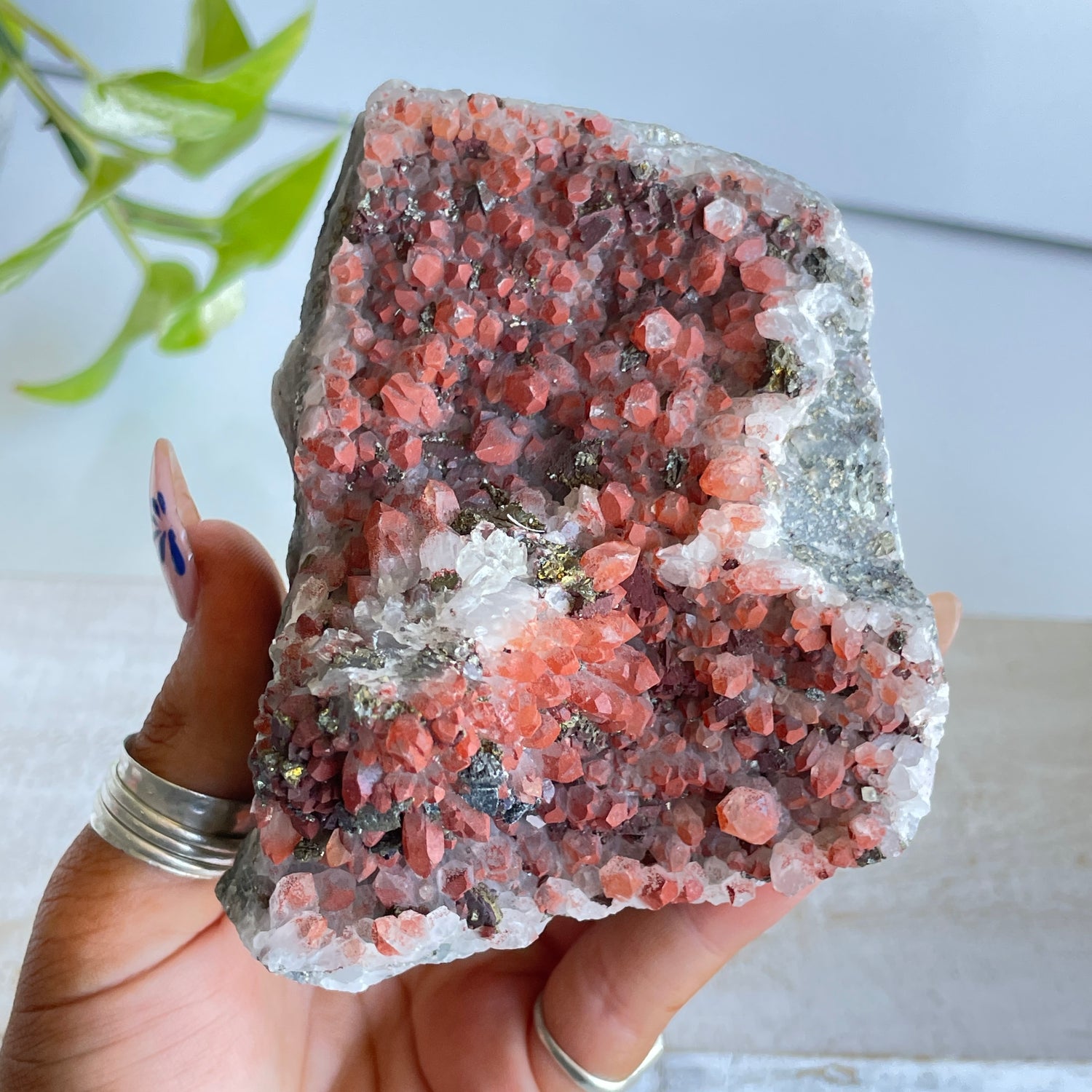 Pyrite & Quartz Cluster 436g