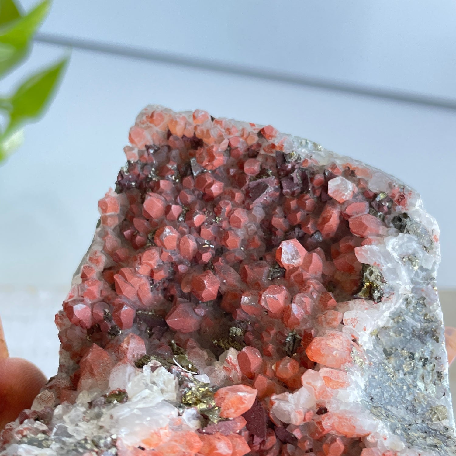 Pyrite & Quartz Cluster 436g