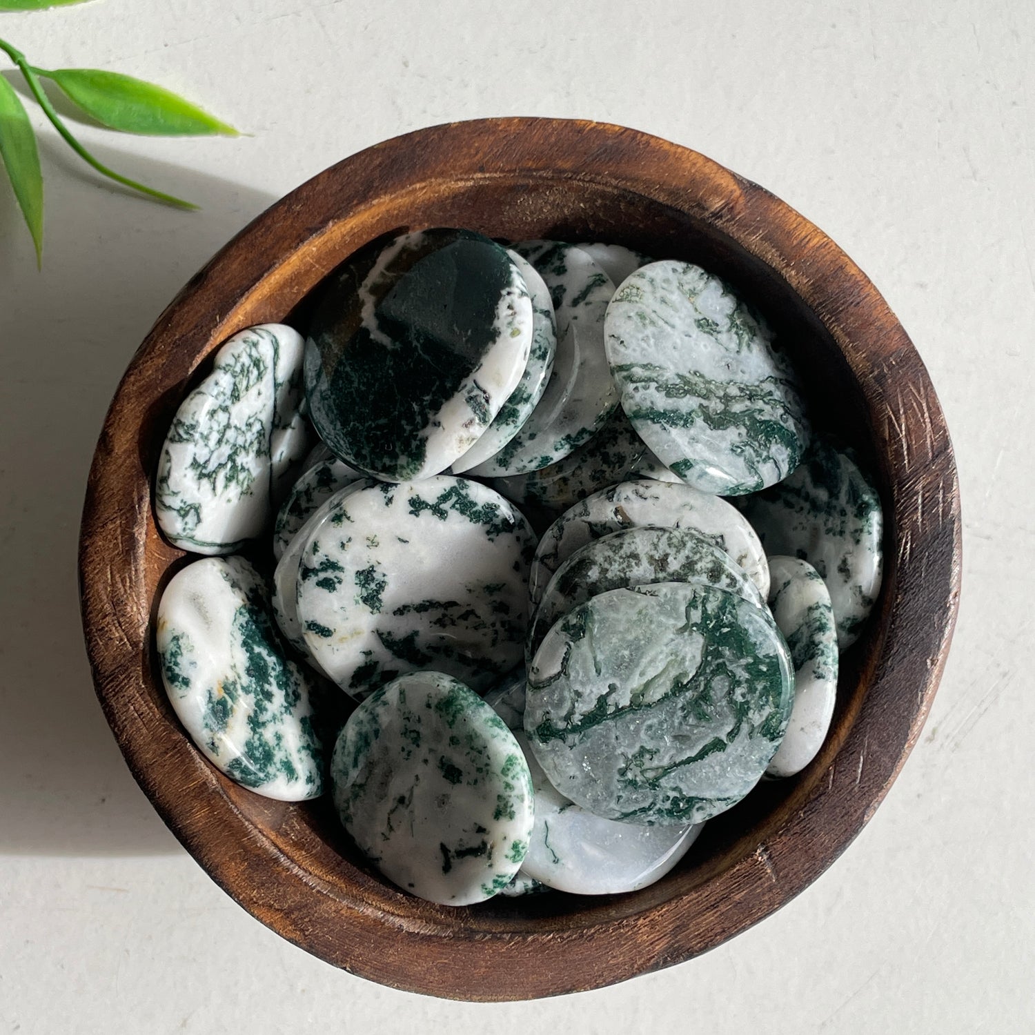 Tree Agate Flat Stone Bra Buddy