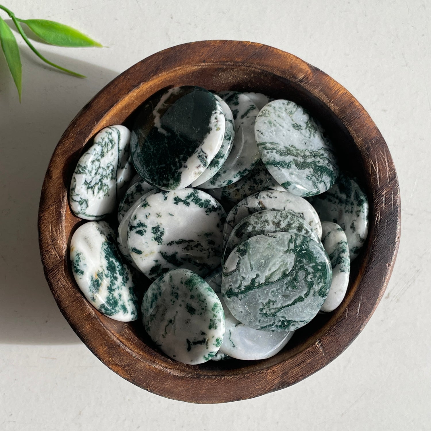 Tree Agate Flat Stone Bra Buddy