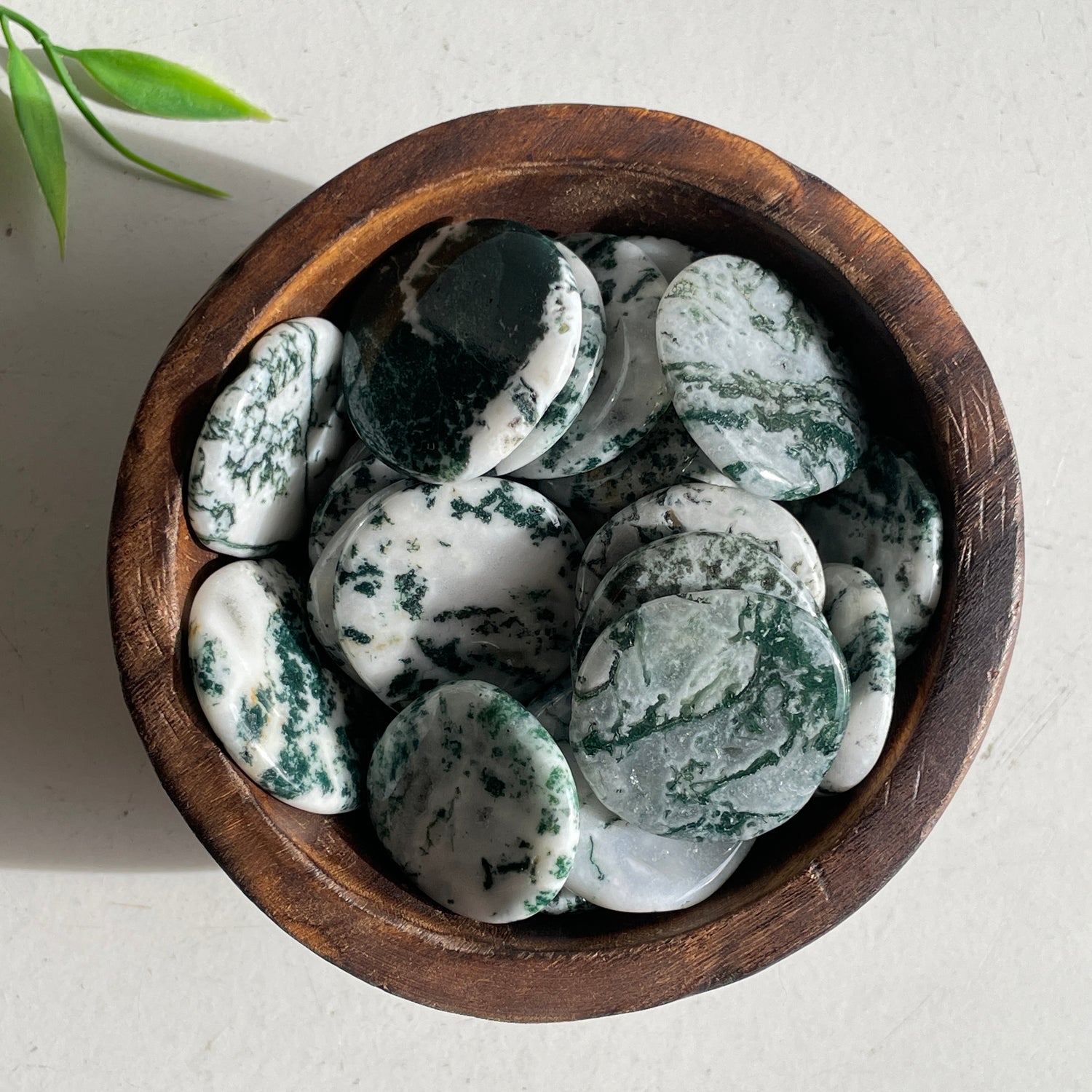 Tree Agate Flat Stone Bra Buddy