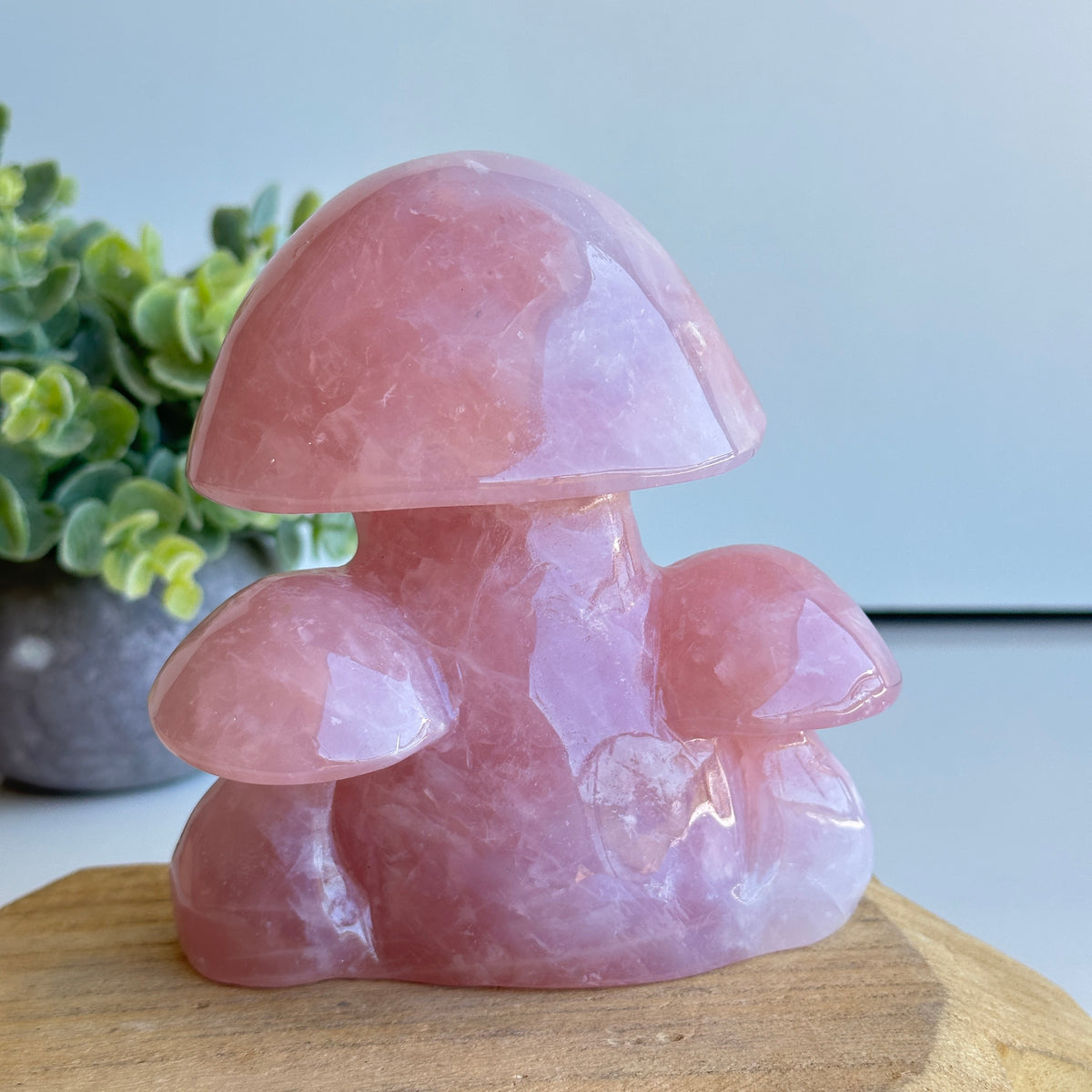 Rose Quartz Mushroom 1.114kg