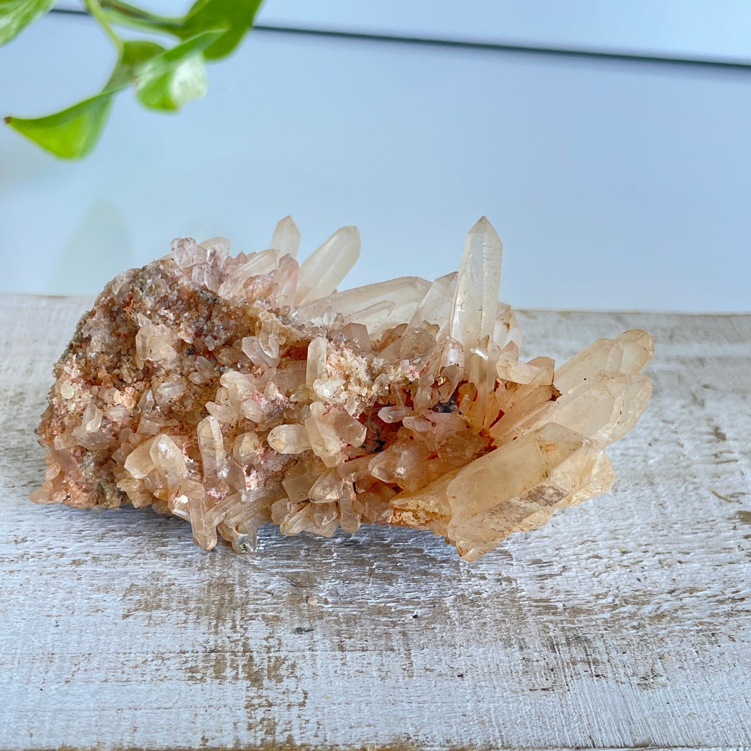 Quartz Cluster 123g
