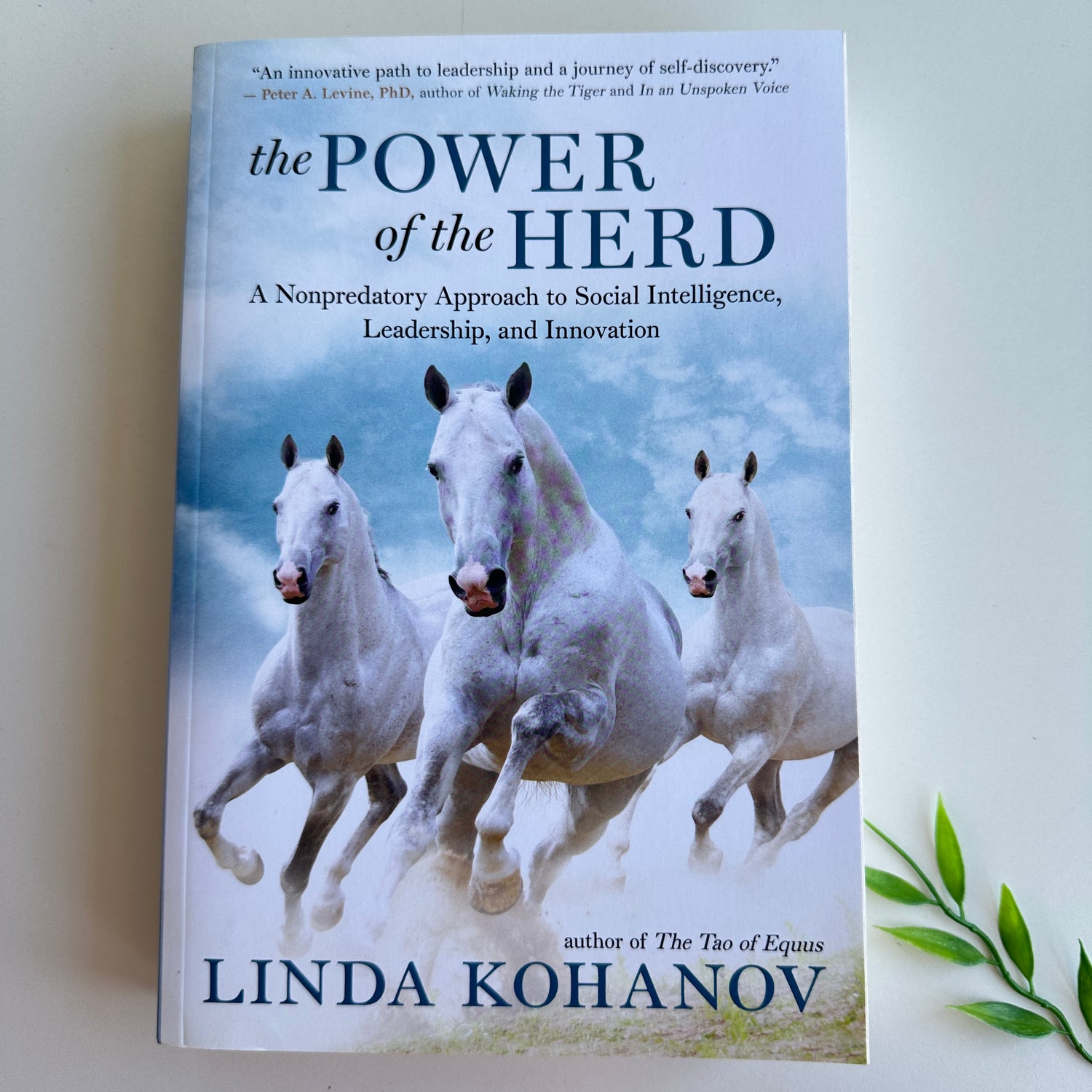 The Power Of The Herd Linda Kohanov