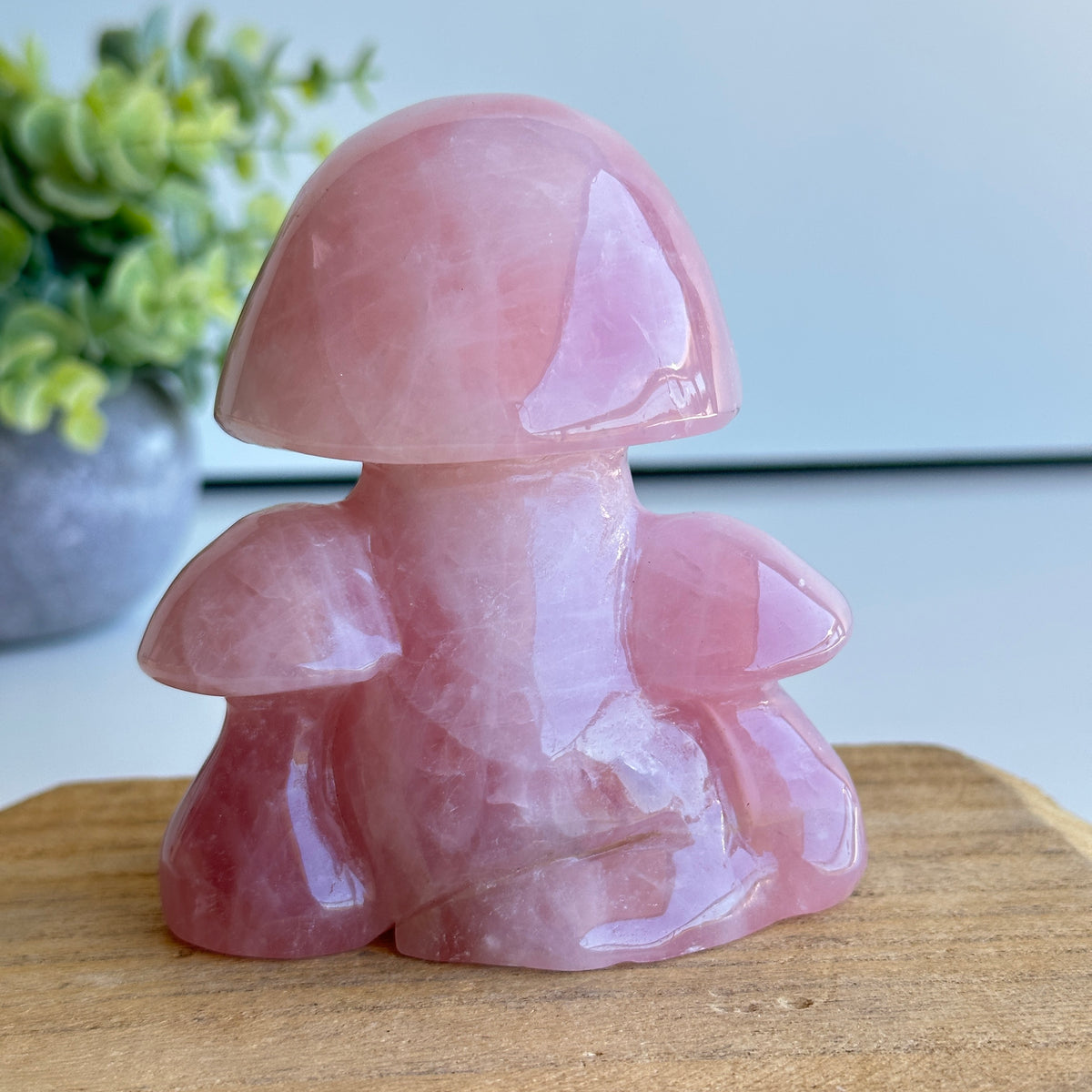 Rose Quartz Mushroom 554g