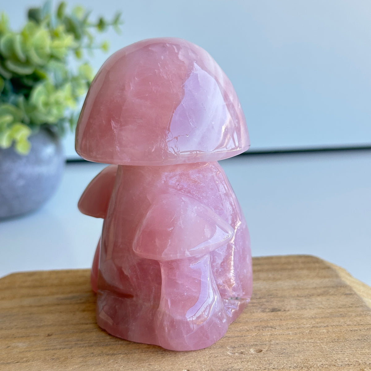 Rose Quartz Mushroom 554g