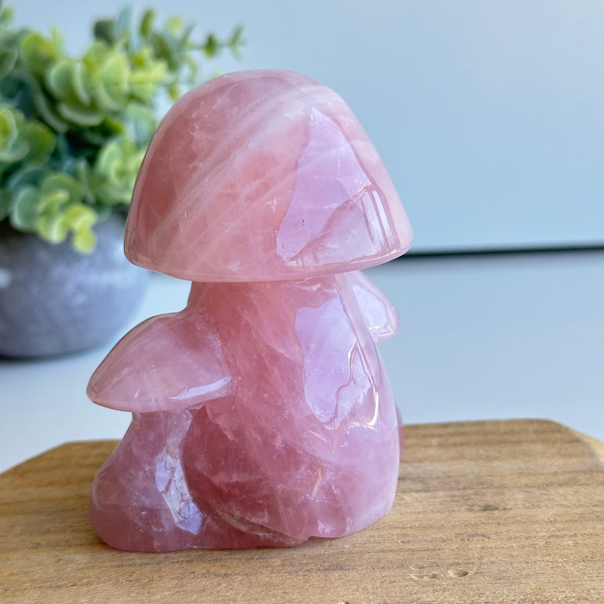Rose Quartz Mushroom 554g