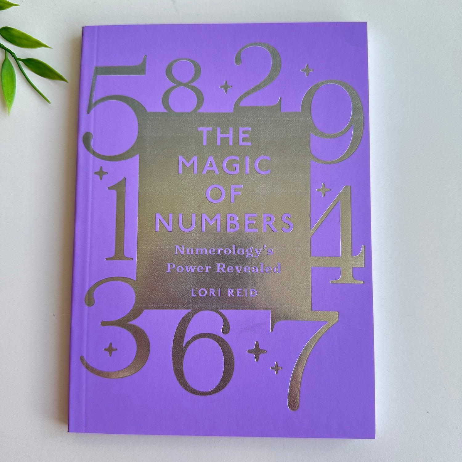 The Magic Of Numbers Lori Reid