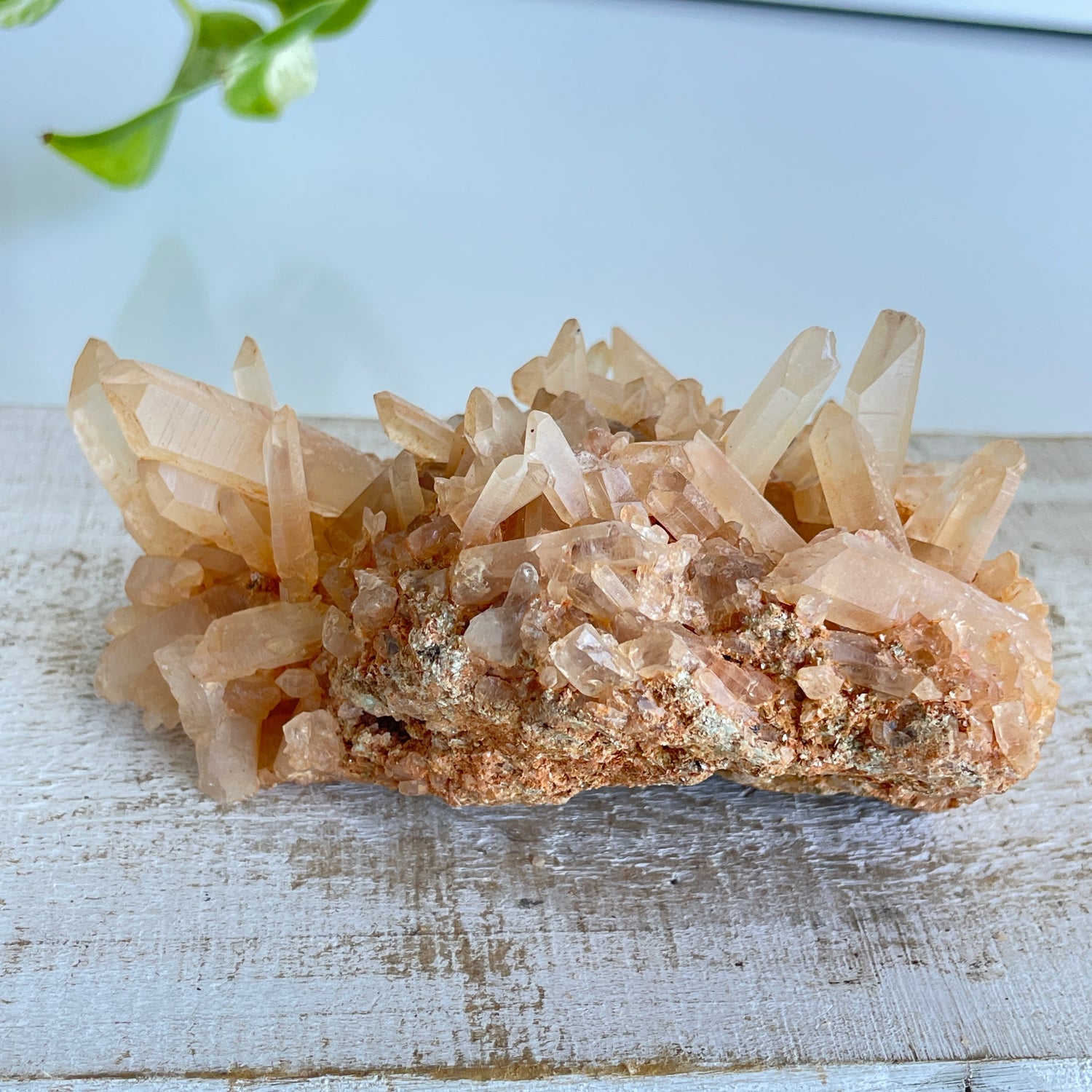 Quartz Cluster 294g