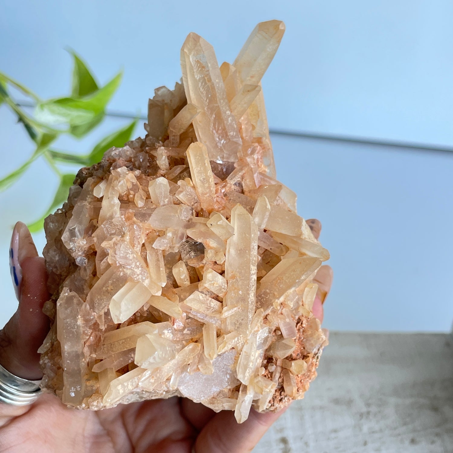 Quartz Cluster 294g