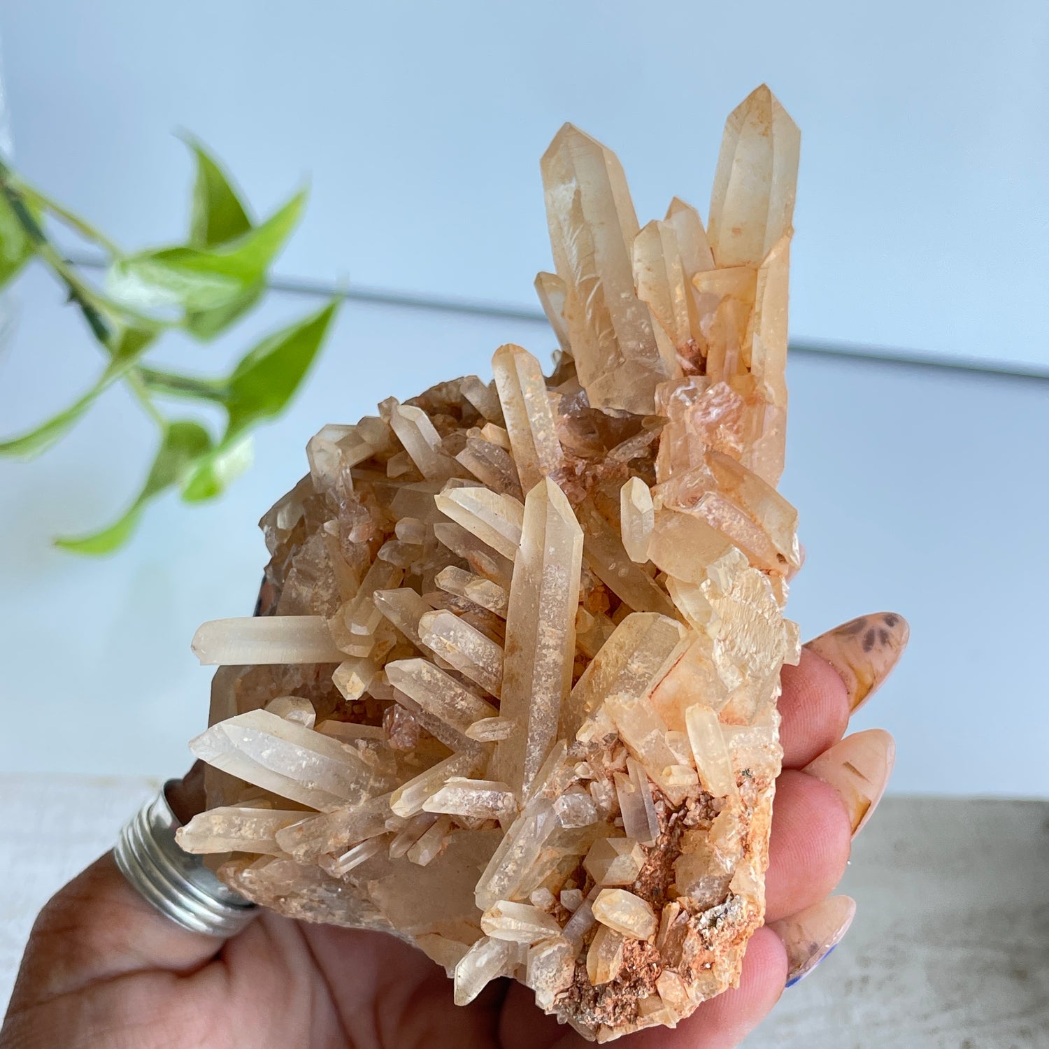 Quartz Cluster 294g