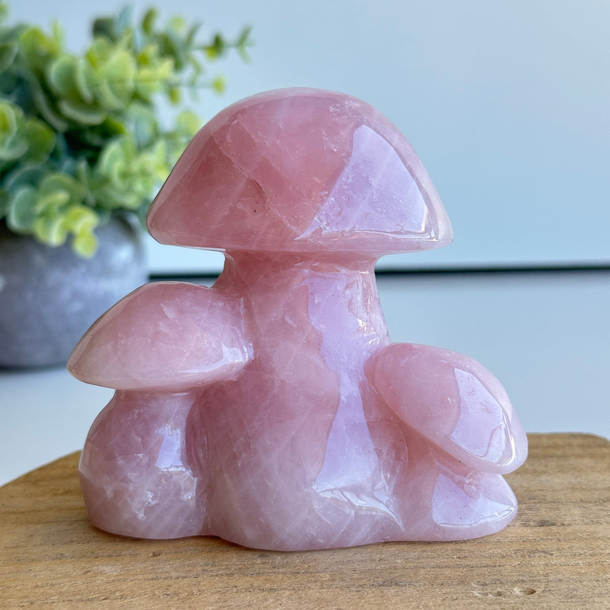Rose Quartz Mushroom 474g