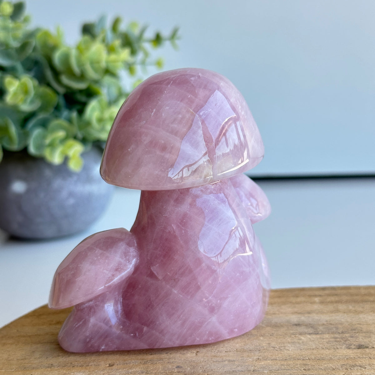 Rose Quartz Mushroom 474g