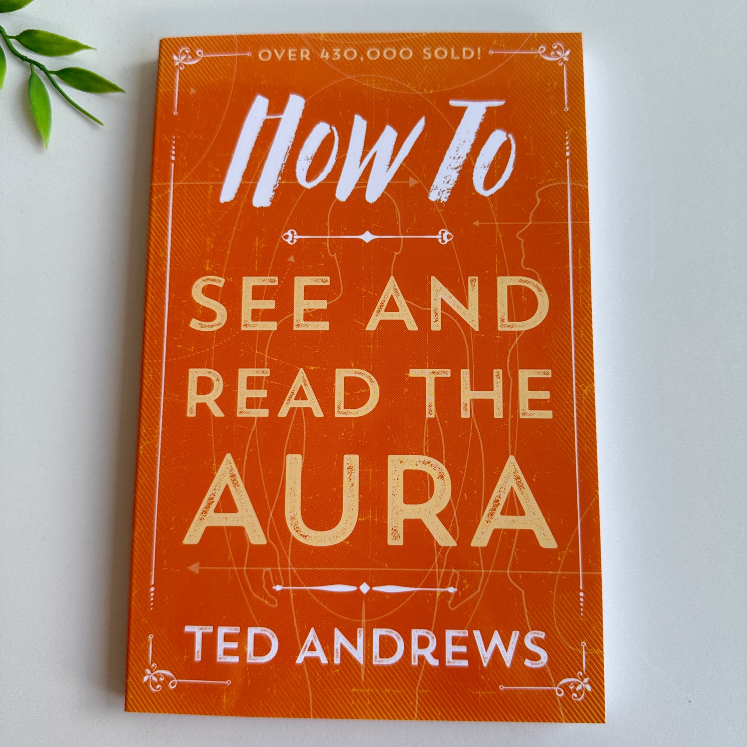How To See And Read The Aura Ted Andrews