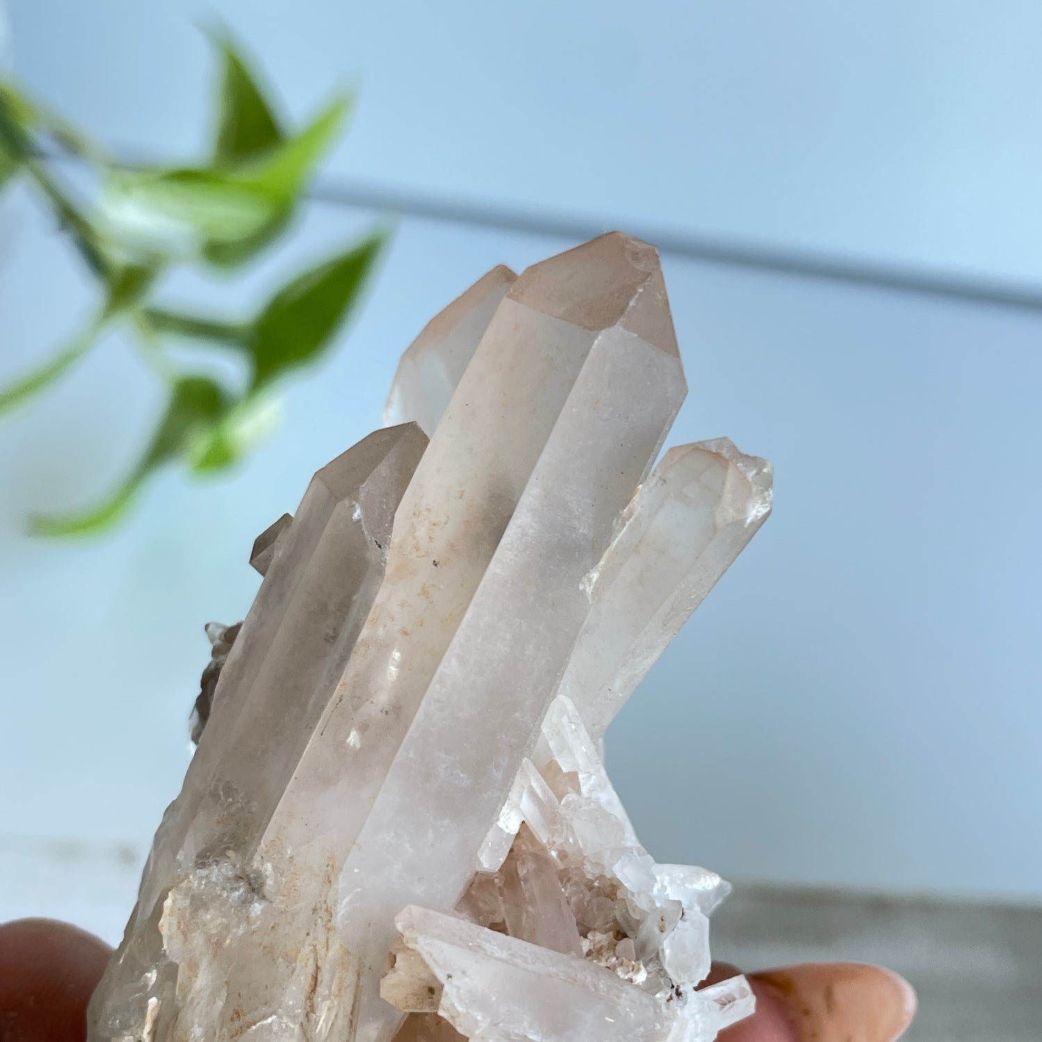 Quartz Cluster 118g