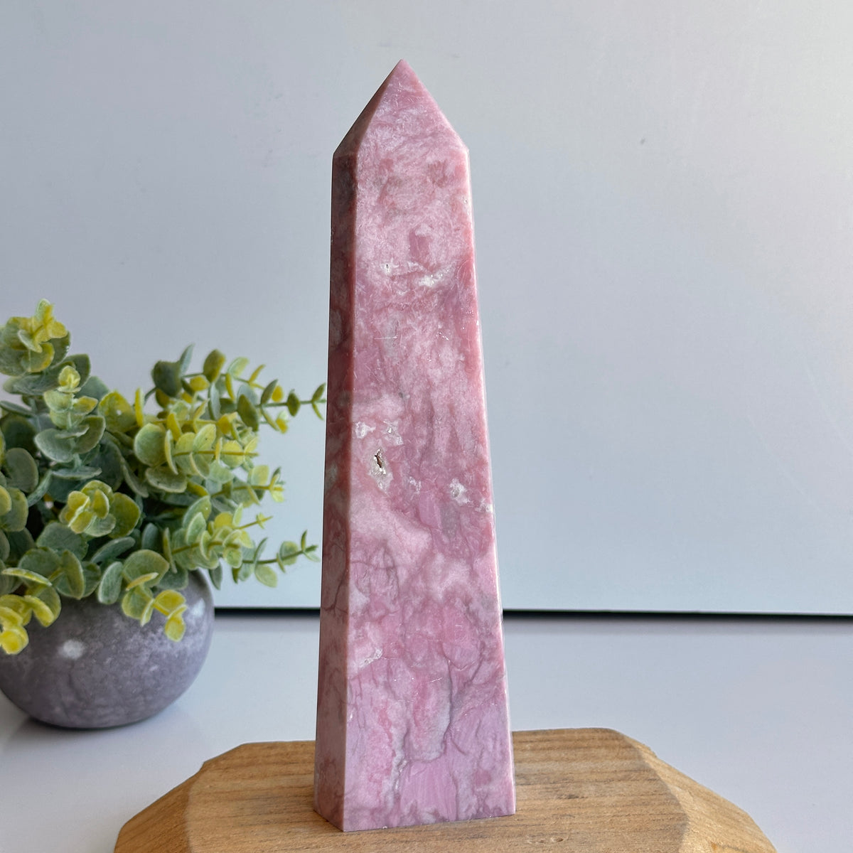 Pink Opal Generator 23cm
