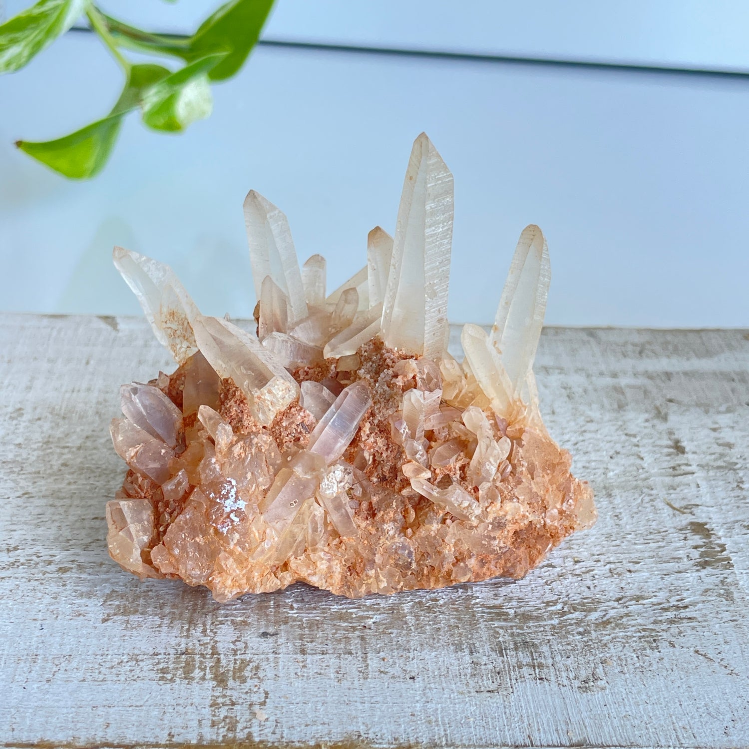 Quartz Cluster 124g