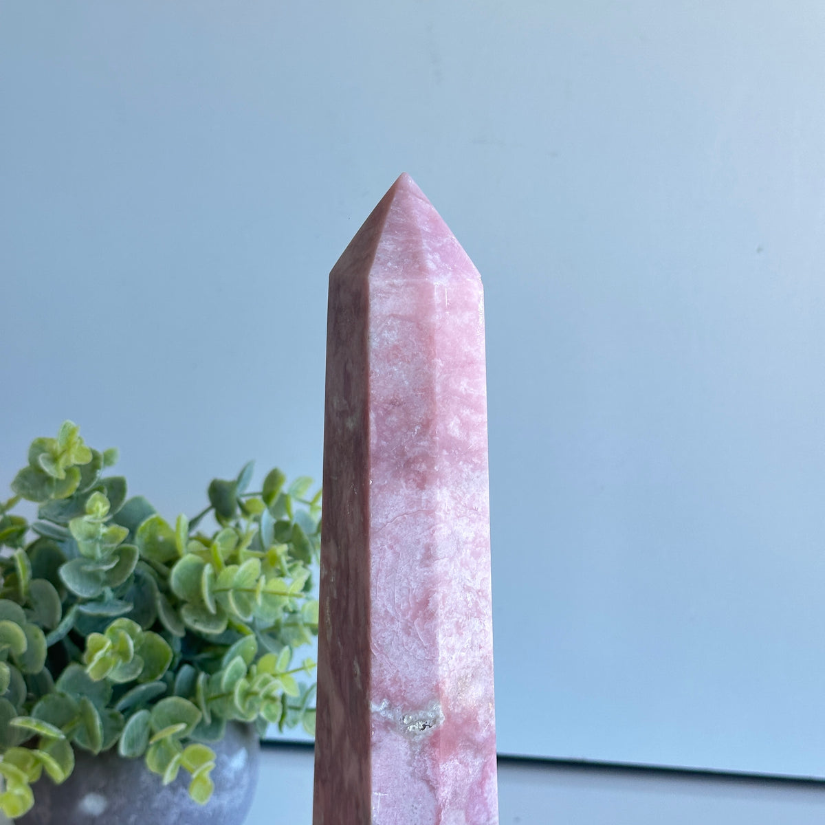 Pink Opal Generator 23cm