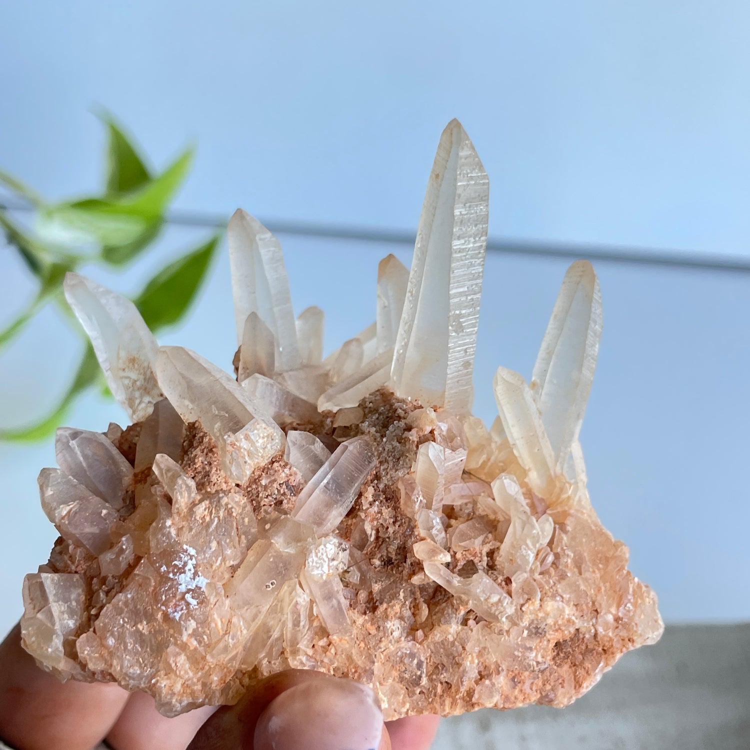 Quartz Cluster 124g