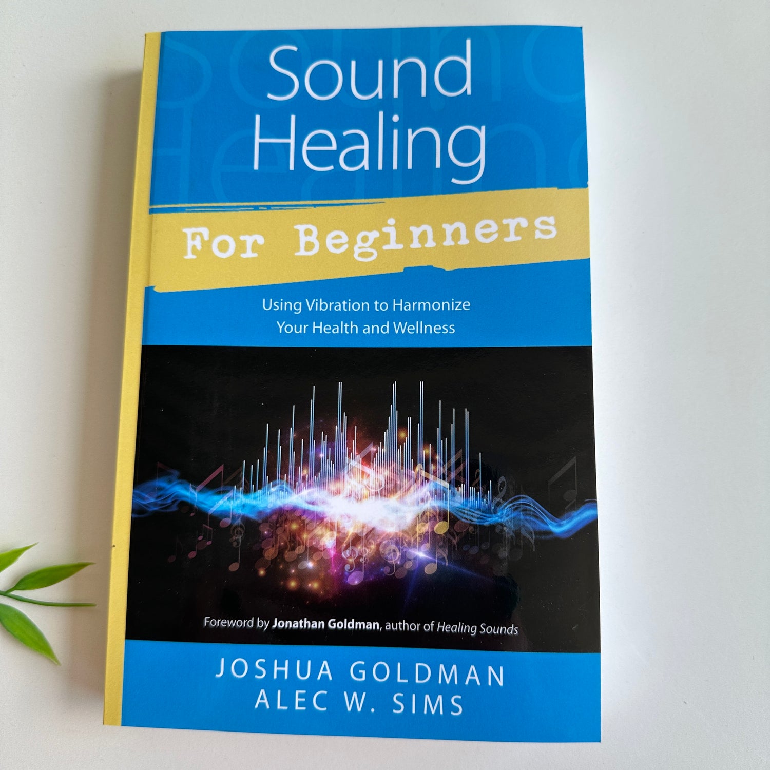Sound Healing For Beginners Joshua Goldman