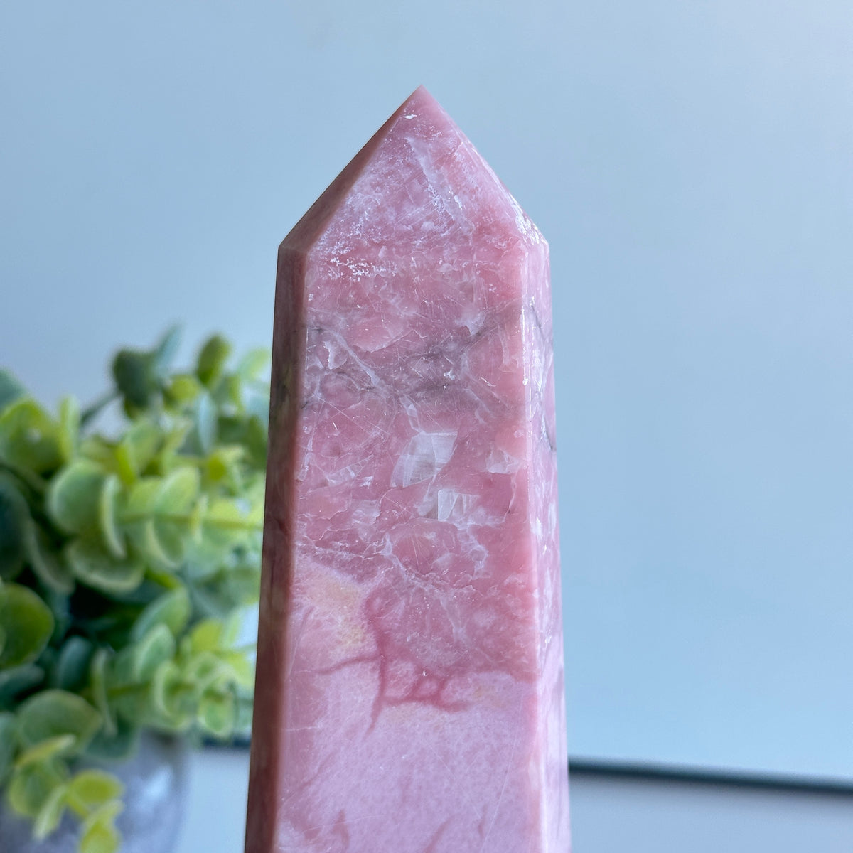 Pink Opal Generator 17.8cm