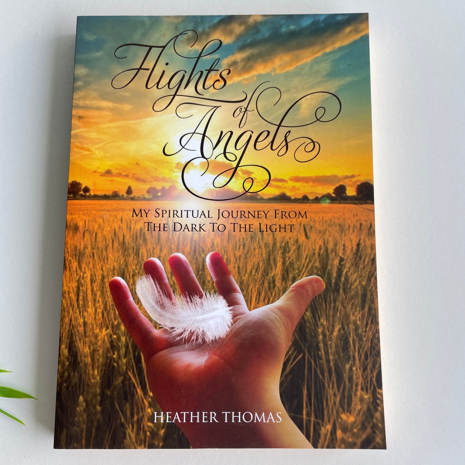 Flights of Angels Heather Thomas