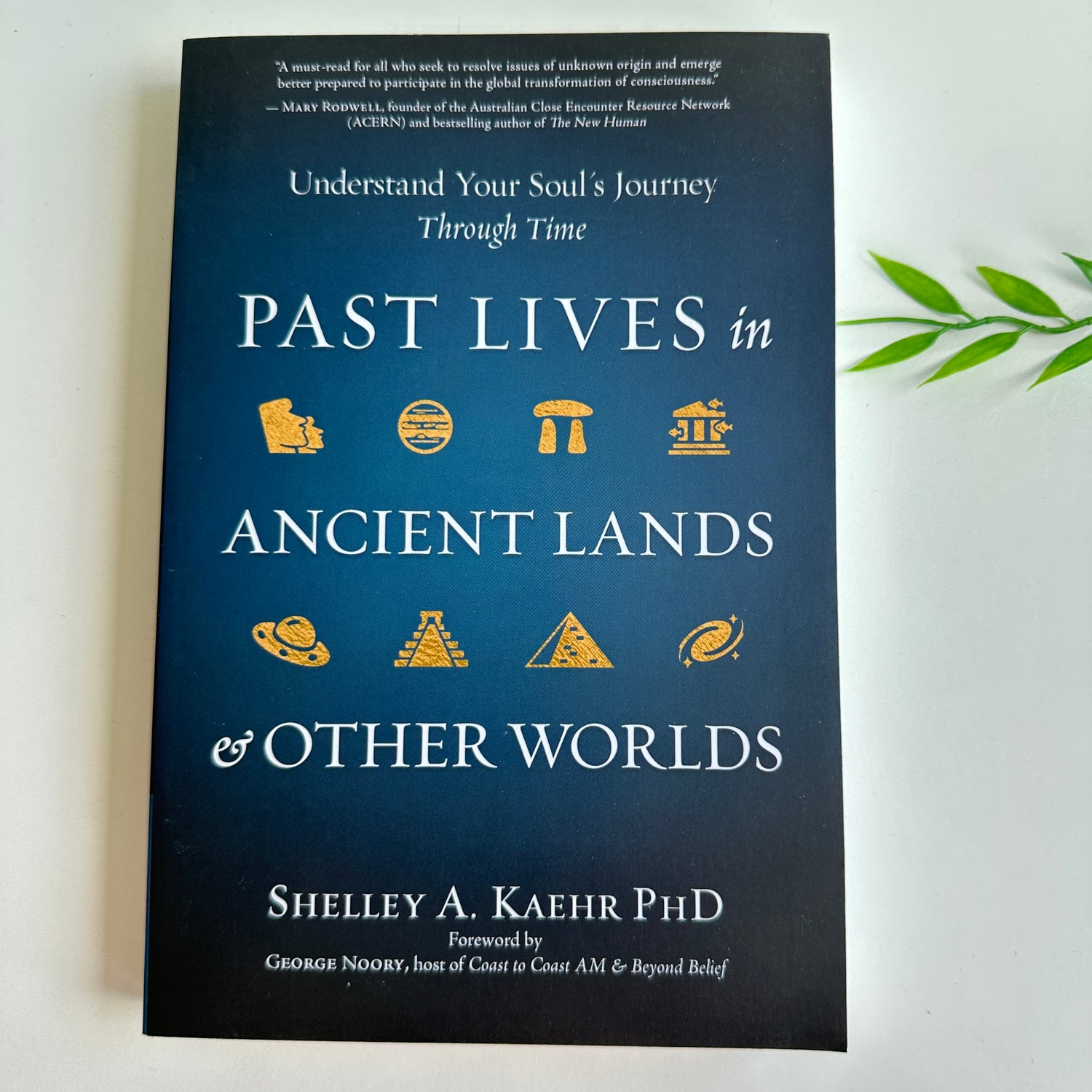 Past Lives In Ancient Lands And Other Worlds Shelley Kaehr