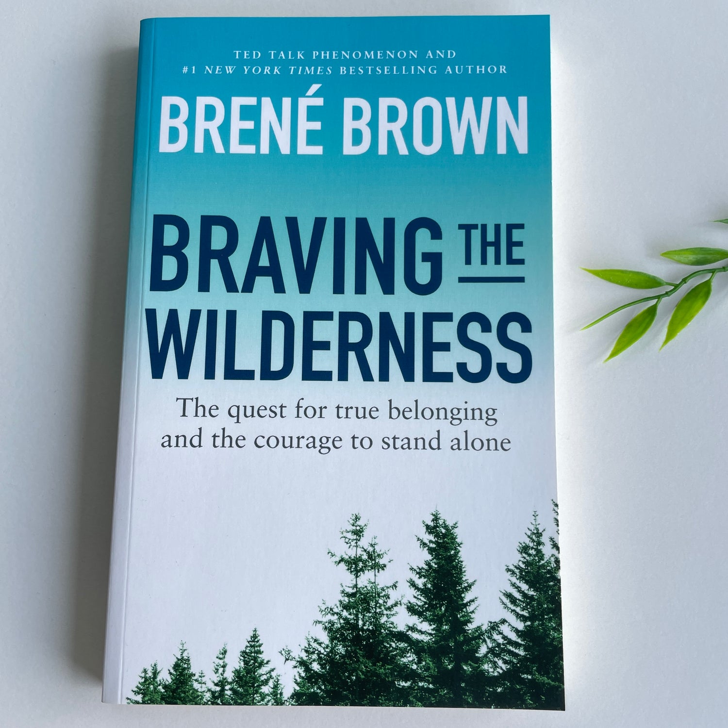 Braving The Wilderness Brene Brown