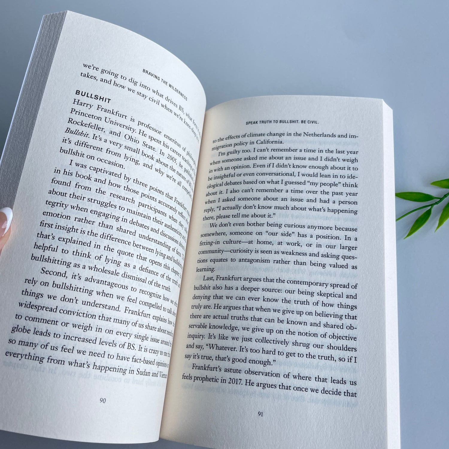 Braving The Wilderness Brene Brown