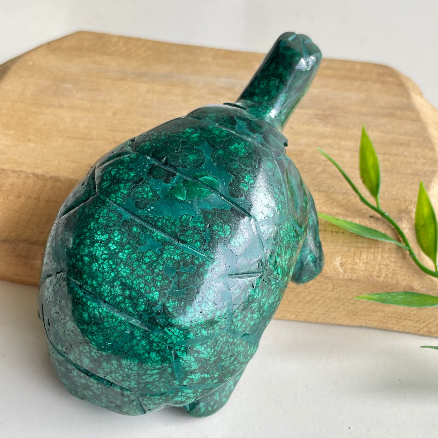 Malachite Turtle 11.5cm