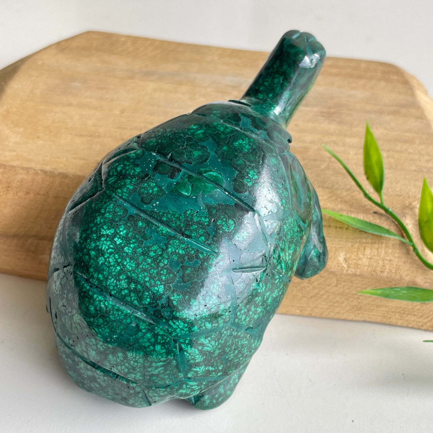 Malachite Turtle 11.5cm