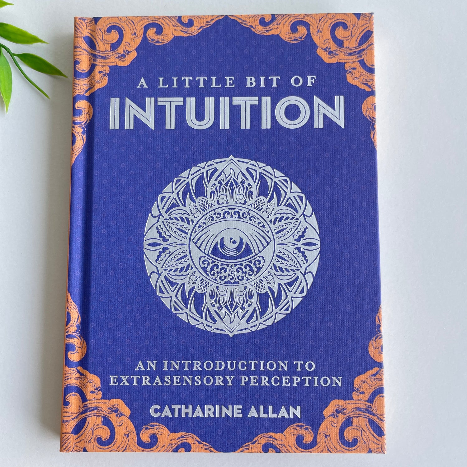 A Little Bit Of Intuition Catharine Allan