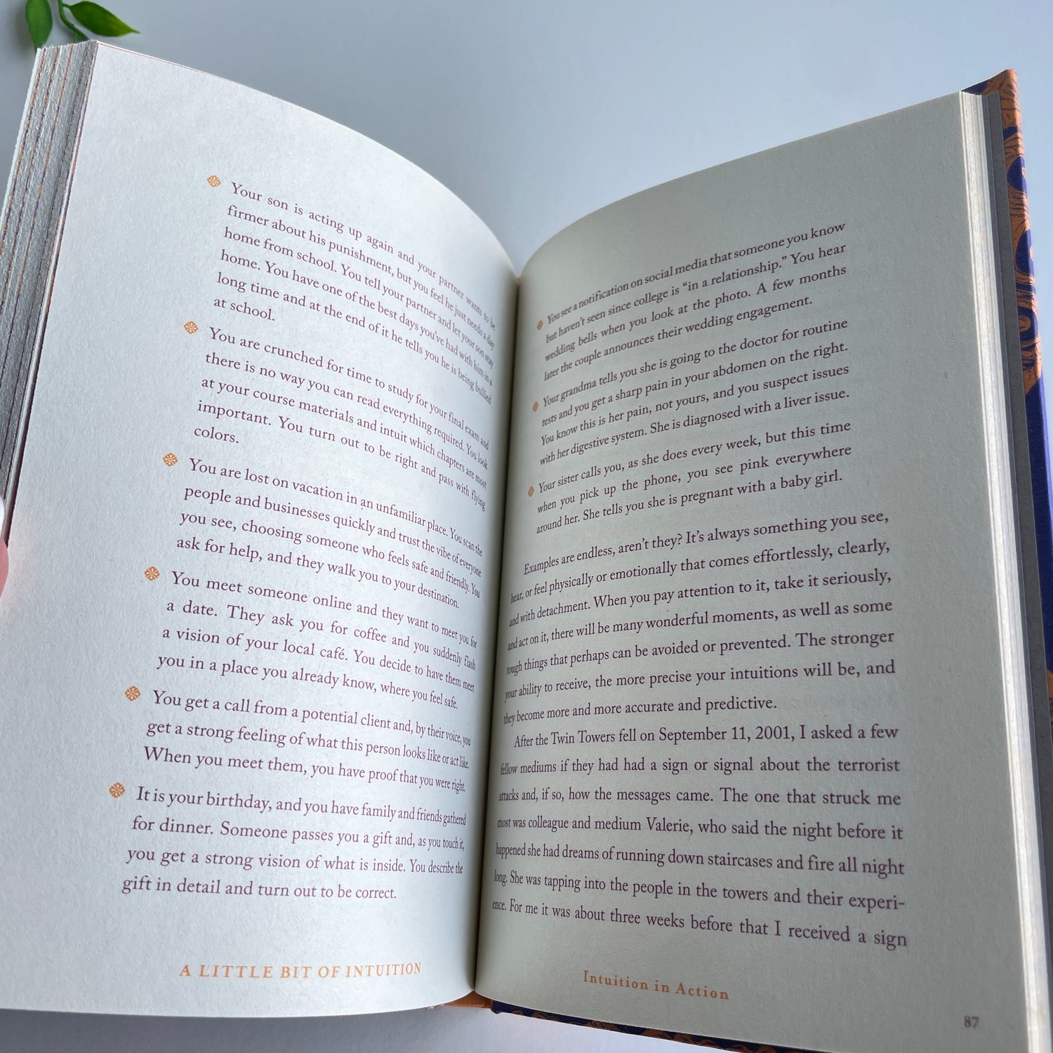A Little Bit Of Intuition Catharine Allan