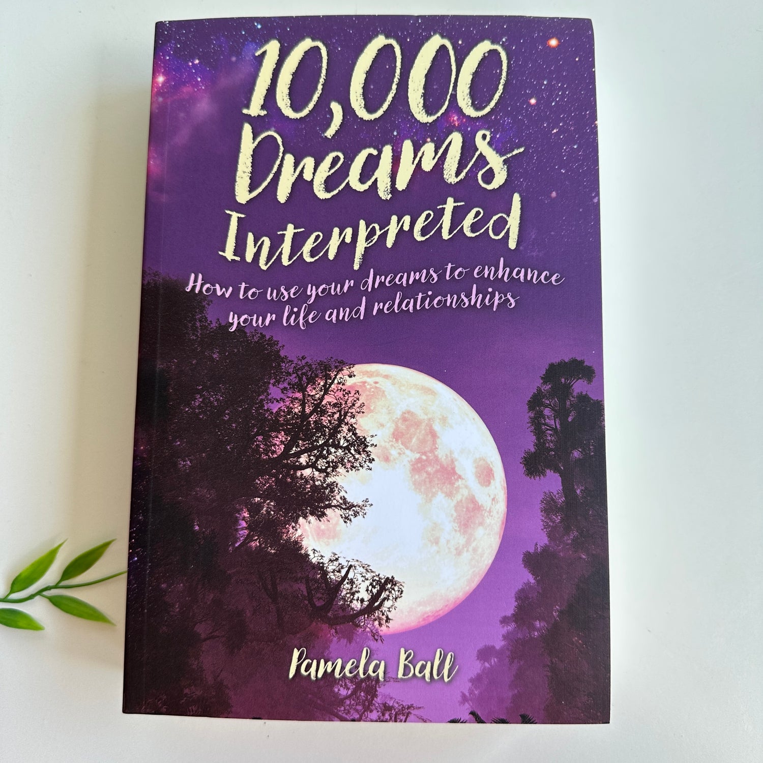 10,000 Dreams Interpreted Pamela Ball