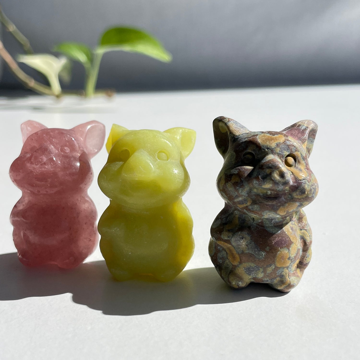 Sitting Pig Assorted