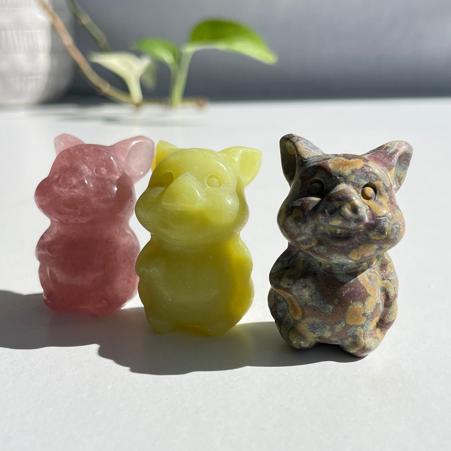Sitting Pig Assorted