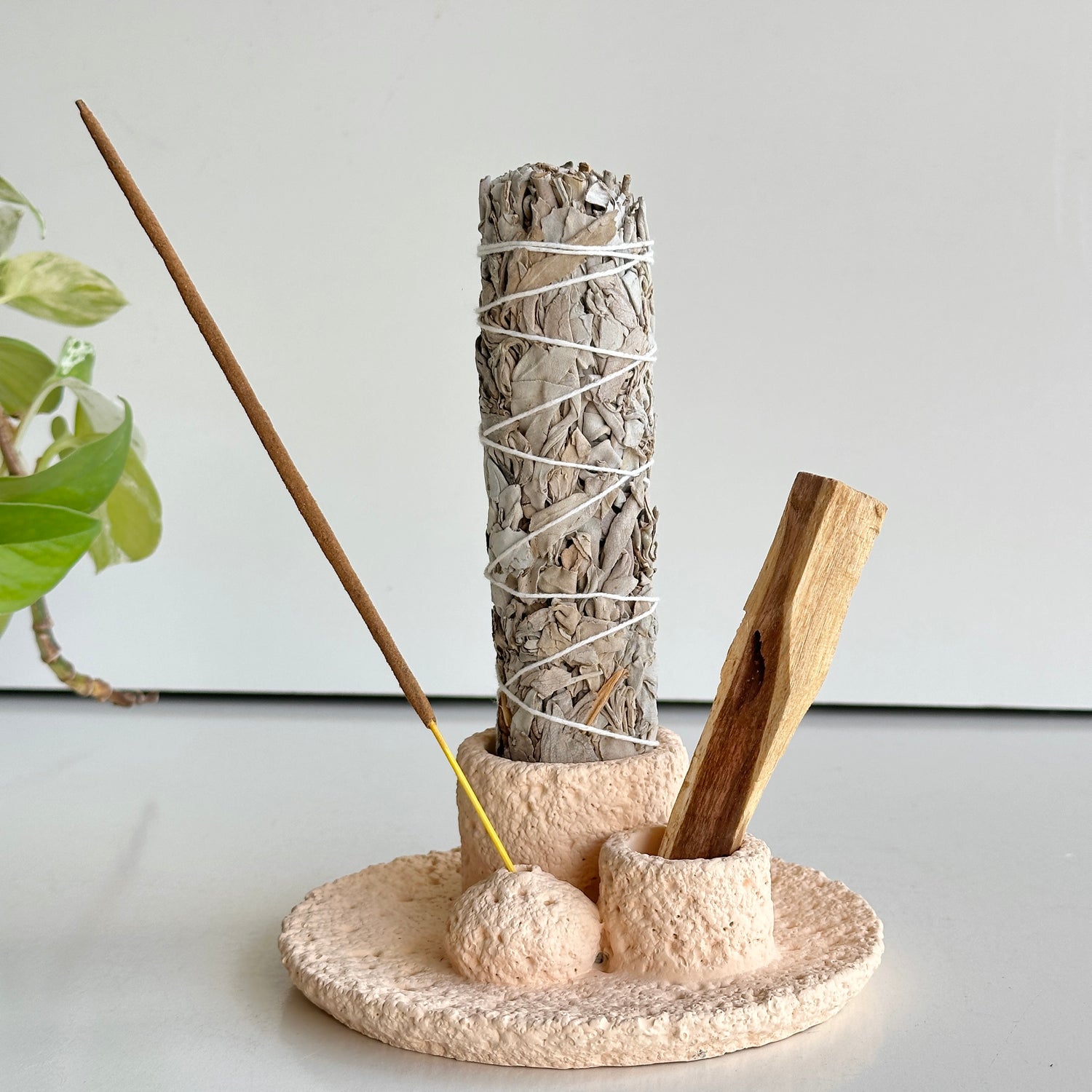 Sage Palo Santo Incense Holder