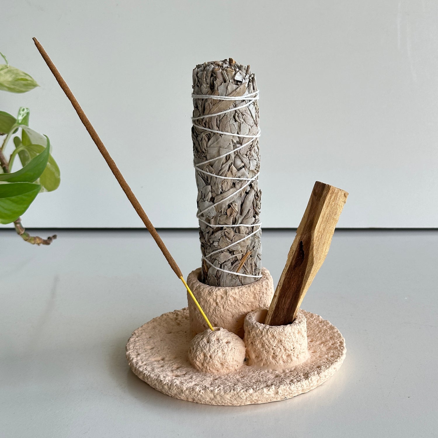 Sage Palo Santo Incense Holder