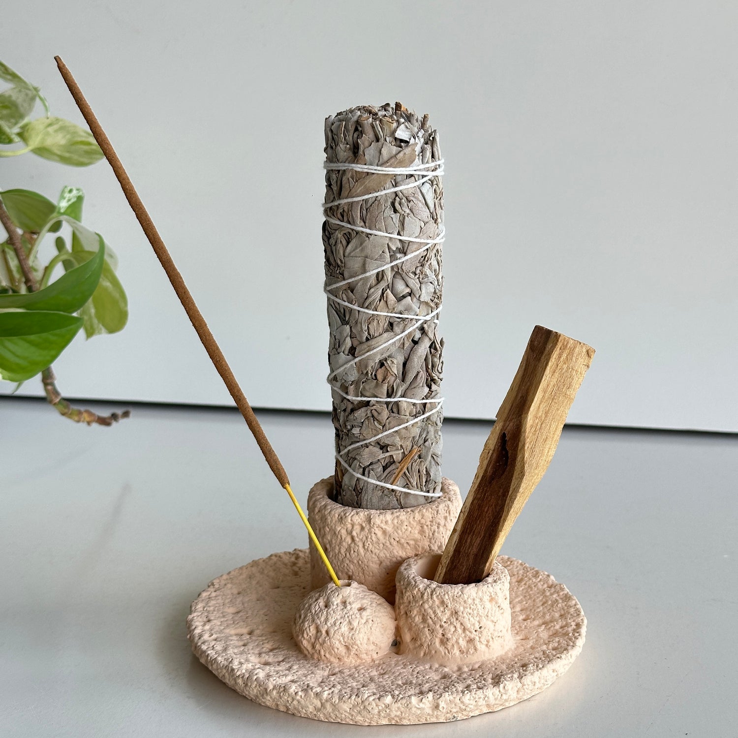 Sage Palo Santo Incense Holder