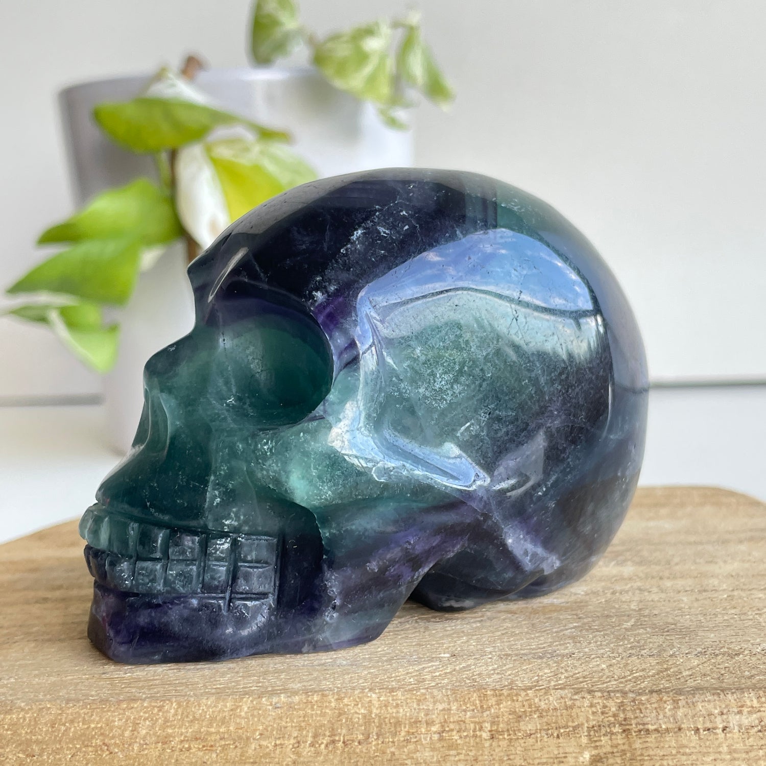 Fluorite Skull 01